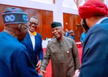 Vice President Yemi Osinbajo and Bola Tinubu Meet in Tanzania (Photos)