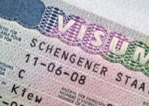 Germany Introduces Online Visa Application Portal for Easier Access