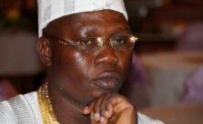 Gani Adams Critiques Sultan’s Support for Sharia in Southwest, Urges Religious Fanatics to Avoid Provocative Actions in Yorubaland