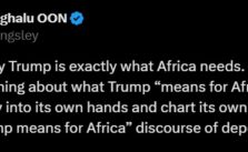 Being Overlooked by Trump is Exactly What Africa Needs, Says Former CBN Deputy Governor Moghalu
