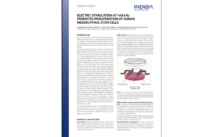 Breakthrough Study Highlights INDIBA Proionic 448kHz's Role in Stem Cell Proliferation