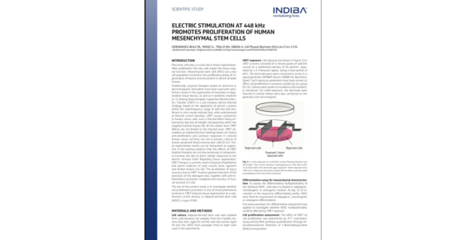 Breakthrough Study Highlights INDIBA Proionic 448kHz’s Role in Stem Cell Proliferation