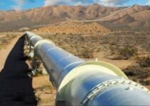 Nigerian Government Seeks Support from WEF for  Billion African Atlantic Gas Pipeline Project