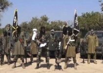 Over 50 Boko Haram Fighters Killed in Intense Rivalry Clash with ISWAP