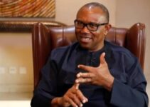 “I’m Not Interested in Coalition for the Sake of Power Grab” – Peter Obi