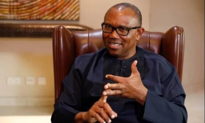 "I'm Not Interested in Coalition for the Sake of Power Grab" - Peter Obi
