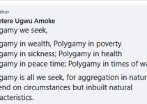 Nigerian Pharmacist Warns: Igbo Culture at Risk of Self-Destruction Without Polygamy Restoration