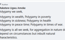 Nigerian Pharmacist Warns: Igbo Culture at Risk of Self-Destruction Without Polygamy Restoration