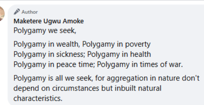 Nigerian Pharmacist Warns: Igbo Culture at Risk of Self-Destruction Without Polygamy Restoration