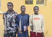 Police apprehend three suspected armed robbers and seize sharp knives in Kano.