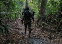 Troops Take Down 13 Illegal Oil Bunkering Operations, Arrest 15 Suspects in Niger Delta