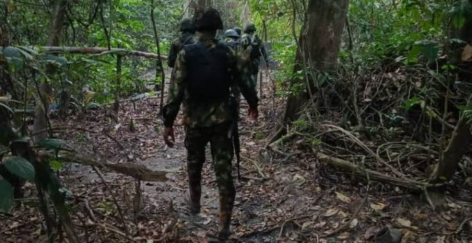 Troops Take Down 13 Illegal Oil Bunkering Operations, Arrest 15 Suspects in Niger Delta