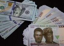 Naira Shines Against Dollar at Official Window, Surges by N24