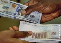 Naira Strengthens Against Dollar, Rises by N16.38 Over the Week