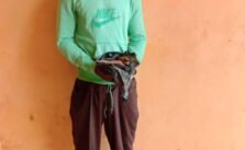 Police Detain Suspect for Allegedly Poisoning Cows in Ogun