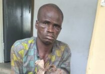 Former Inmate Detained with Human Skull in Ogun Burial Site