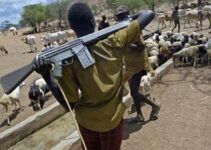 Suspected Herdsmen Attack Claims the Lives of 5 Farmers in Ondo Community