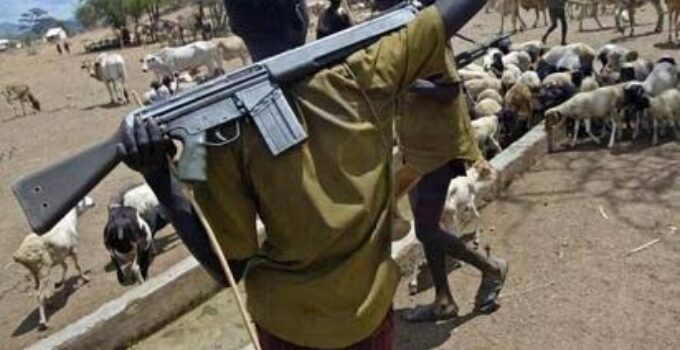 Suspected Herdsmen Attack Claims the Lives of 5 Farmers in Ondo Community