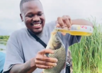 TikTok User Faces Backlash for Force-Feeding Beer to Fish