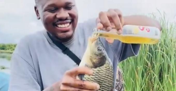 TikTok User Faces Backlash for Force-Feeding Beer to Fish