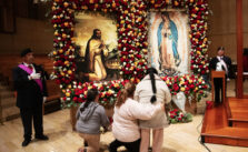 The World Should Entrust Itself to Virgin Mary - Cardinal