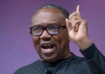 Labour Party Backs Peter Obi in 2027 Presidential Bid