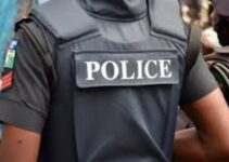 Police apprehend two suspects in the murder of 9-year-old boy in Kebbi