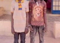 Man Stabs Elder Brother to Death in Kebbi