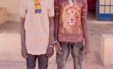 Man Stabs Elder Brother to Death in Kebbi