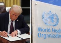 President Trump Pulls the US Out of the World Health Organization