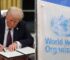 President Trump Pulls the US Out of the World Health Organization