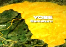 Police Capture Bandit Leader and Seize Weapons in Yobe