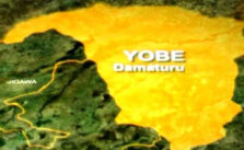Police Capture Bandit Leader and Seize Weapons in Yobe