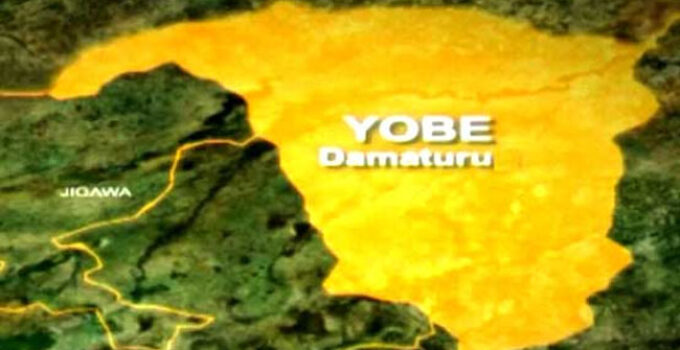 Police Capture Bandit Leader and Seize Weapons in Yobe