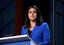 Gabbard Discusses CIA’s Challenging Syrian Regime Change Efforts During Confirmation Hearing