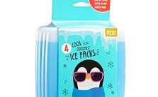 Fit + Fresh Cool Coolers – Grab Them Now at 51% Off!