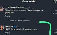 American Model India Love Clarifies There's No Romance with Nigerian Singer Asake