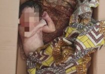 Newborn Discovered Deceased in Carton in Kano