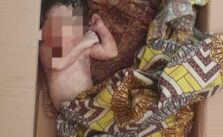 Newborn Discovered Deceased in Carton in Kano