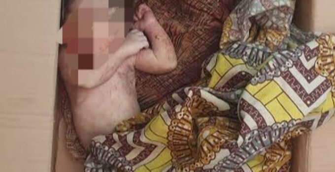 Newborn Discovered Deceased in Carton in Kano