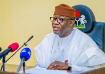 Political Rivalries Aren’t Authentic; They’re Merely Entertainment – Fayemi