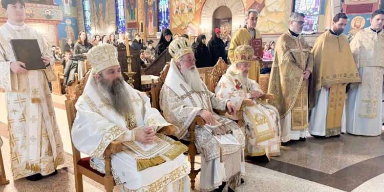 Celebrating 50 Years of Priesthood: Metropolitan Longin of New Gračanica's Ordination Anniversary