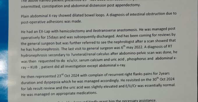 BREAKING: Nigerian Blogger Destiny Granted Controversial N2 Billion Bail for Alleged Cyberbullying, Seeks Bail Modification Due to Health Concerns