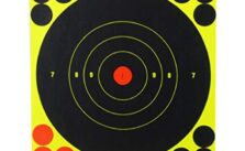 Birchwood Casey SHOOT-N-C 6-Inch Round Target Pack (60 Sheets) – Now 69% Off!