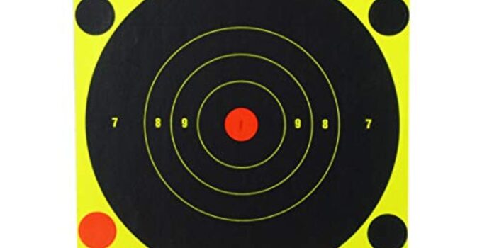 Birchwood Casey SHOOT-N-C 6-Inch Round Target Pack (60 Sheets) – Now 69% Off!