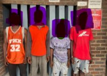 Police Arrest Murder Suspect and Prevent Robbery Attempts in Lagos