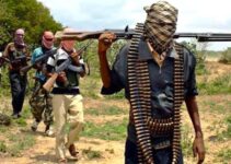 Suspected Herdsmen Kill Six Individuals in Benue