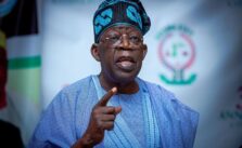 Nigeria Aims to Partner with India for Energy Transition Progress