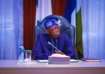 Tinubu Approves Legislation to Establish Federal University in Ogoni