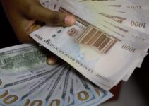 Naira Falls After Days of Strength, Loses N16 at Official Rate